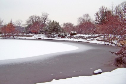 gefrorenen Teich