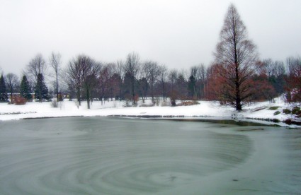 在公园的冷冻的池塘