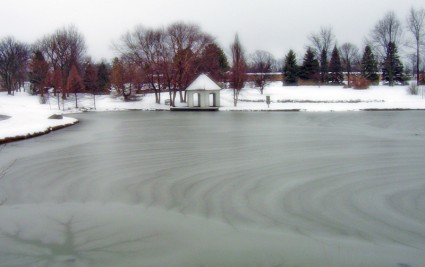 공원에서 얼어붙은 연못