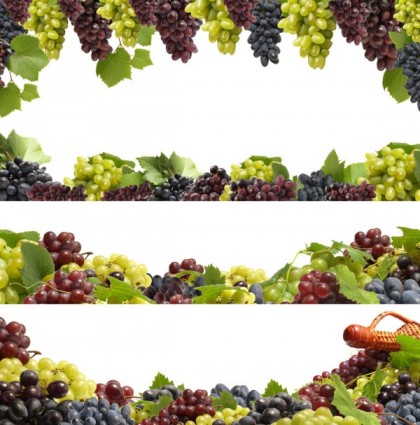 Fruit Borders Hd Pictures