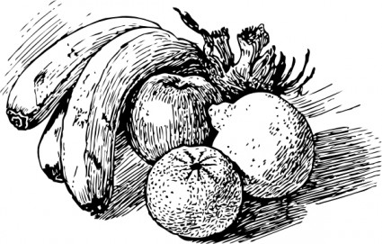 clipart fruit