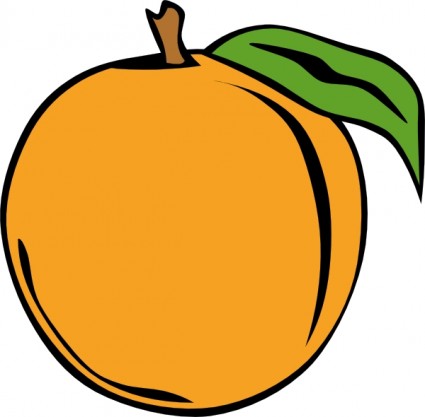 水果橙色的剪貼畫