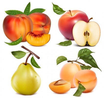 fruits images vectorielles