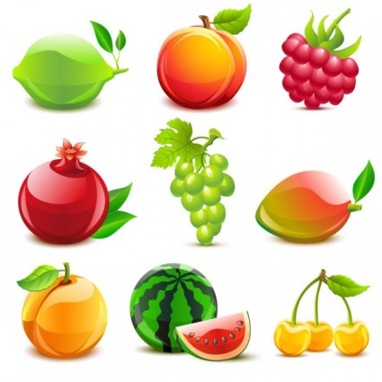 Fruit Pictures Vector