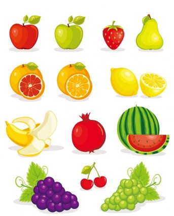 meyve resimleri vektör