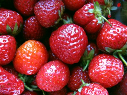 Fruit Spring Strawberry