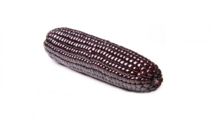 Fruits And Vegetables Sd Purple Corn