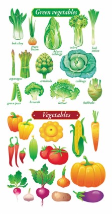 vetor de frutas e legumes