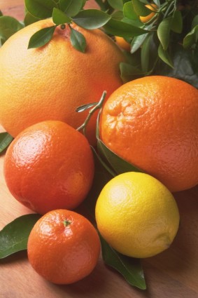 Fruits Orange Citrus Fruits