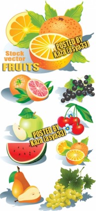 vector de frutas