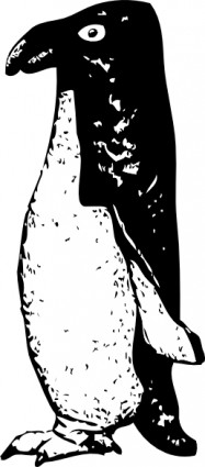 funky penguin clip art