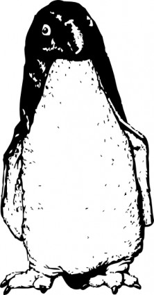 Funky Penguin From Front Clip Art