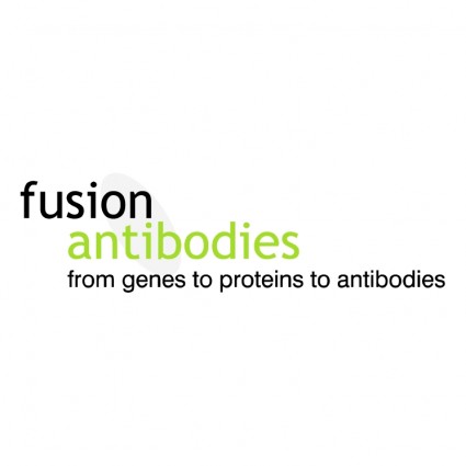anticorpos de fusão