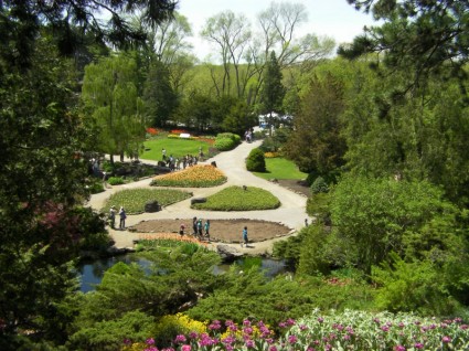 Taman bunga hijau