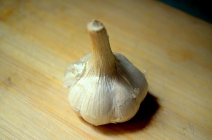 bulbo di aglio