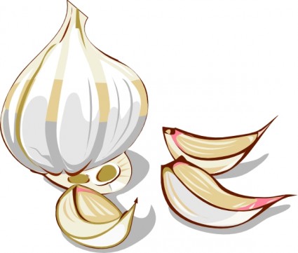 bawang putih clip art