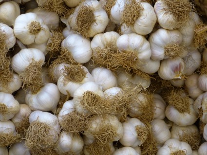 Garlic White Food