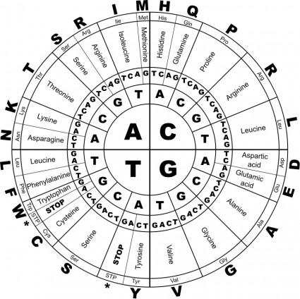 codice genetico bw