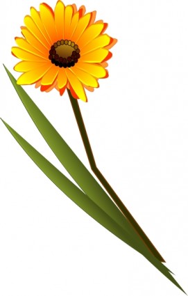 Gerbera clipart