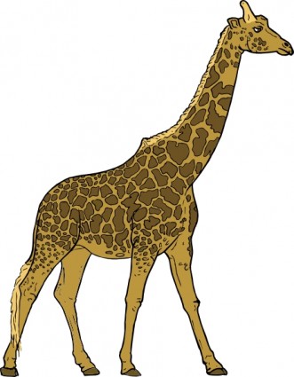 clipart girafe