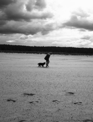 少女ウォーキング犬のビーチ