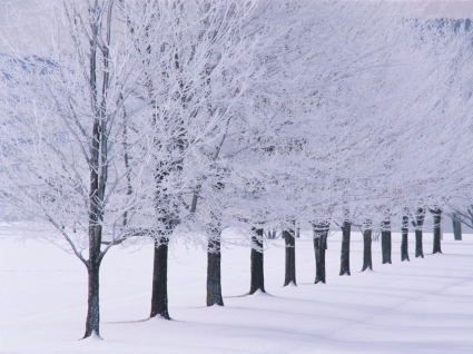 明镜州立公园壁纸冬季性质