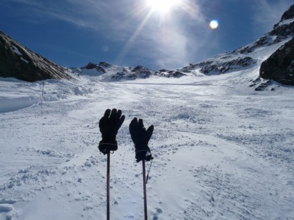 スキーポール冬の手袋