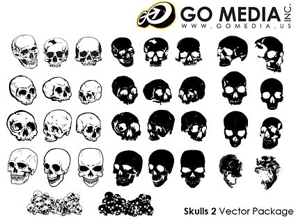 media go producido vector cráneo reproducci