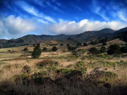 paisaje de Goga rancho california
