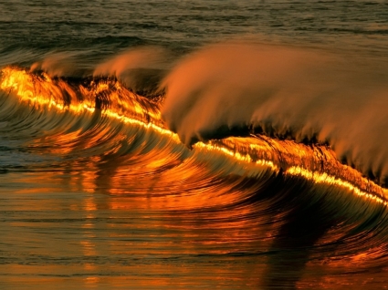 Golden Wave Wallpaper Other Nature