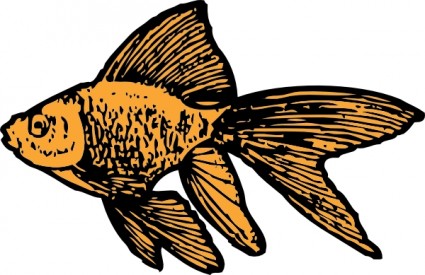 Золотая рыбка картинки