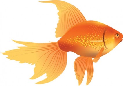 Goldfisch-Vektor
