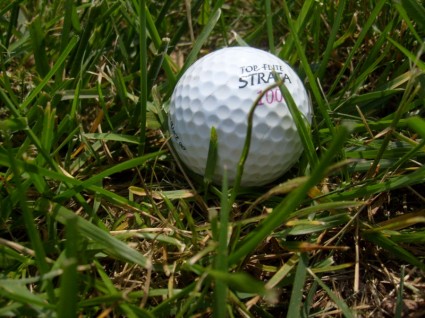 高尔夫球球在草