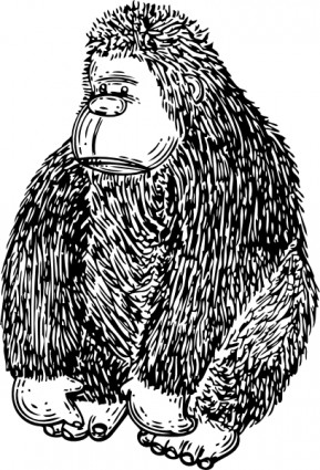 clip art de gorila