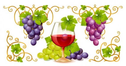 vettore di uva e vino