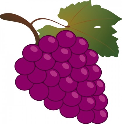 Grape Clip Art