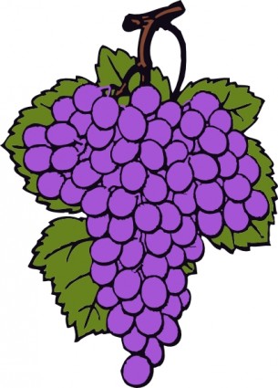 clip art de racimo de uva
