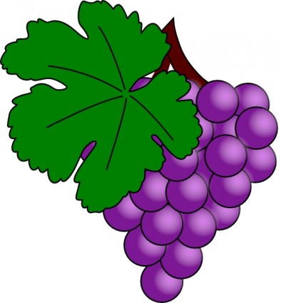 raisin avec image clipart feuille vigne