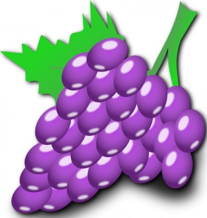 clipart de uvas