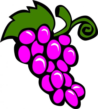 image clipart vigne raisin