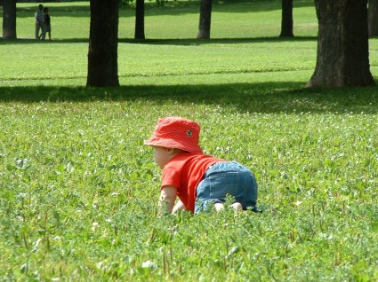 잔디 어린이 공원