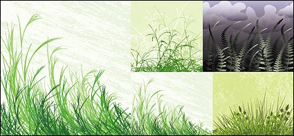 vector material de hierba