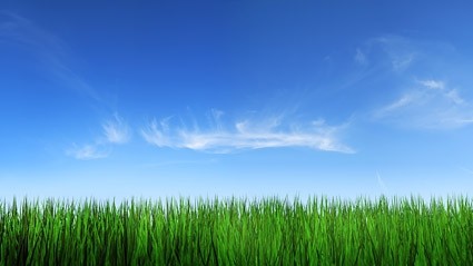 photo de ciel herbe