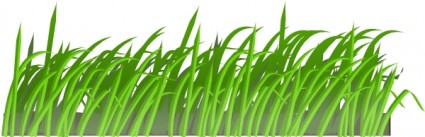 herbe texture clipart