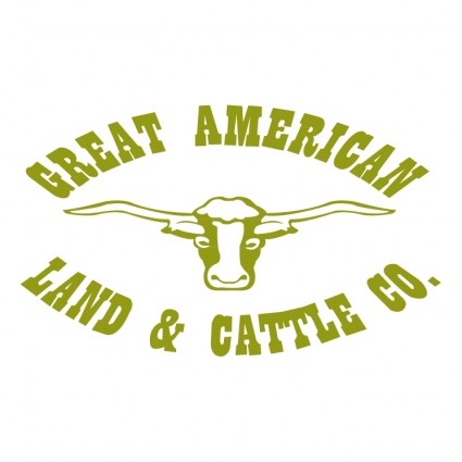 gado de grande terra americana