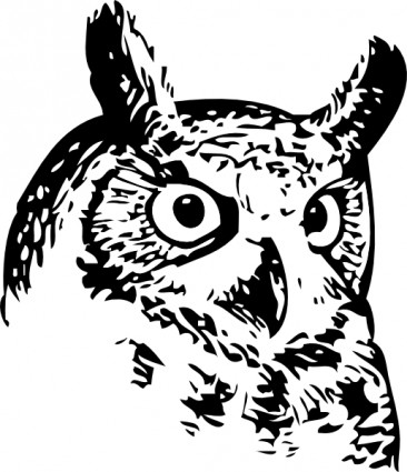Tuyệt vời owl clip nghệ thuật