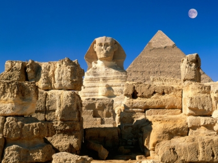 nhân sư lớn hình nền thế giới Ai Cập