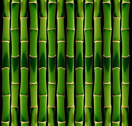 immagine di sfondo verde bambù