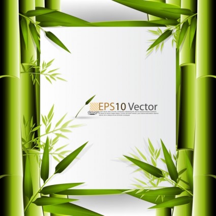 Green Bamboo Background Text Template Vector