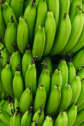 fundo de bananas verdes